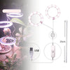 LED Grow Light Full Spectrum Phyto Grow Lamp USB Phyto Lamp for Plants Growth Lighting for Indoor Plant