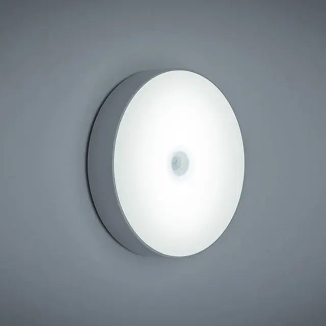 New LED Body Induction Small Night Light USB Charging