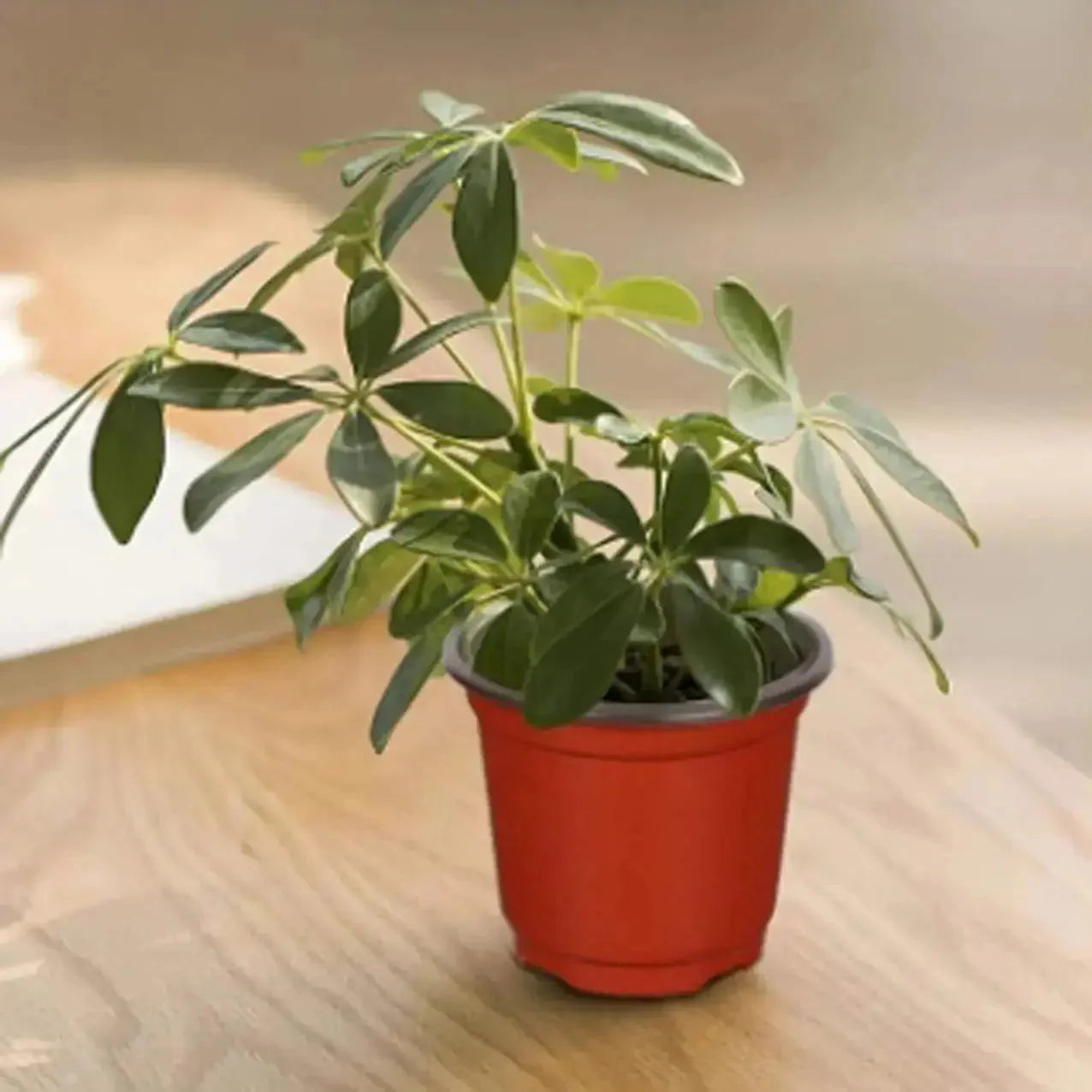 cm plastic plant pots | 110 piece nursery pot set | durable red flower pots | ultrasonic cleaning