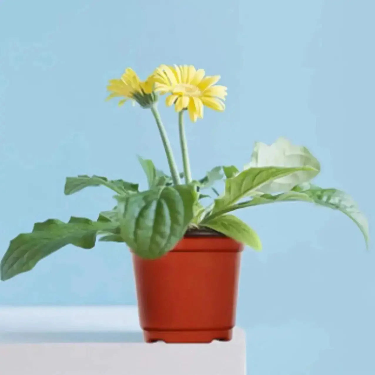 cm plastic plant pots | 110 piece nursery pot set | durable red flower pots | ultrasonic cleaning