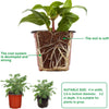 110 Pieces 10cm Plant Pots Nursery Pots Red Plastic Flower Pot